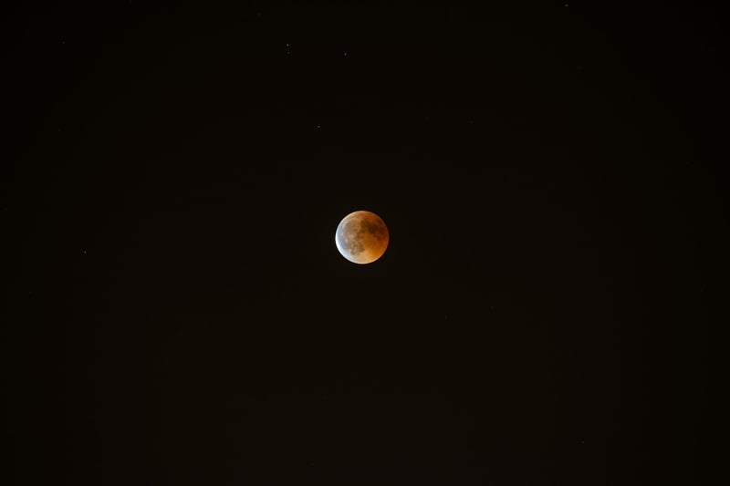 Eclipse Celebration